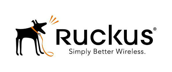 824-P300-1100 - RUCKUS Networks