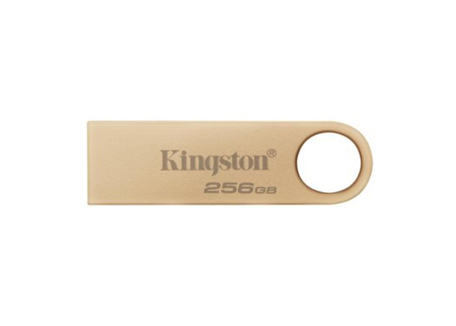 DTSE9G3/256GBCR - Kingston Technology