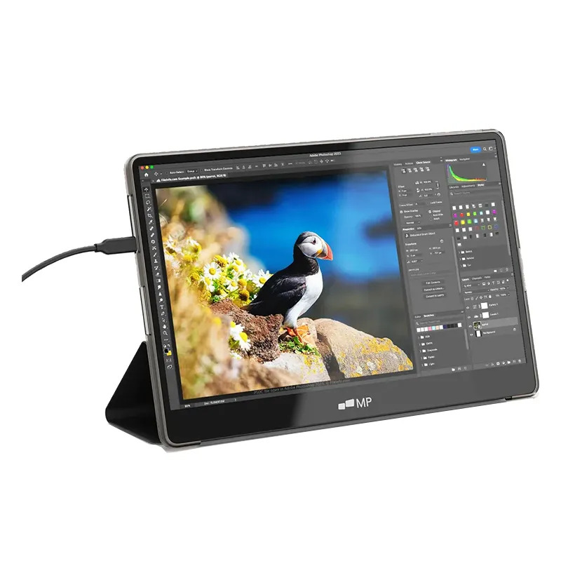 101-1012P01 - Mobile Pixels