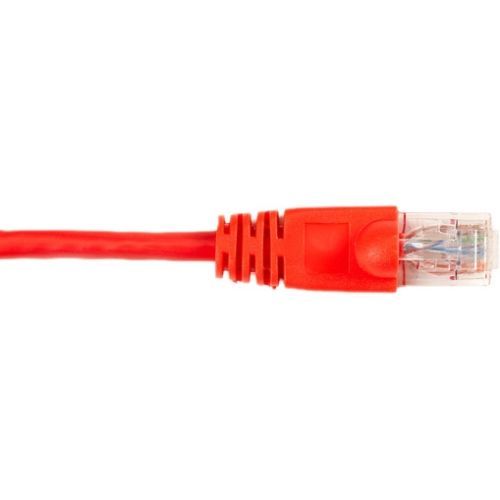 CAT6PC-007-RD - Black Box