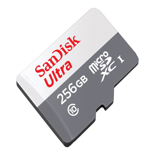 SDSDUNC-256G-CN6IN - Sandisk