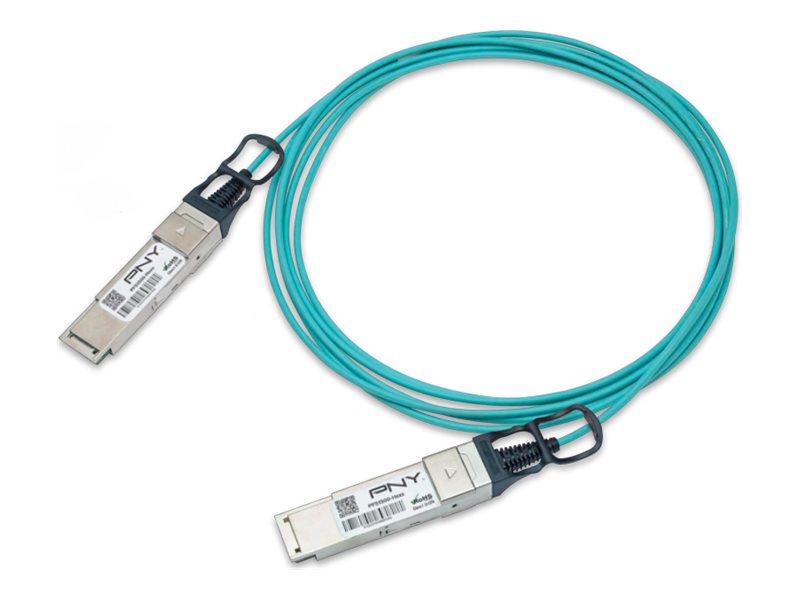 PFS1S50-H005V - PNY