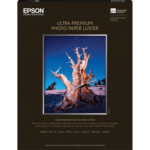 S041913 - Epson