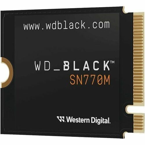 WDS100T3X0G - WD