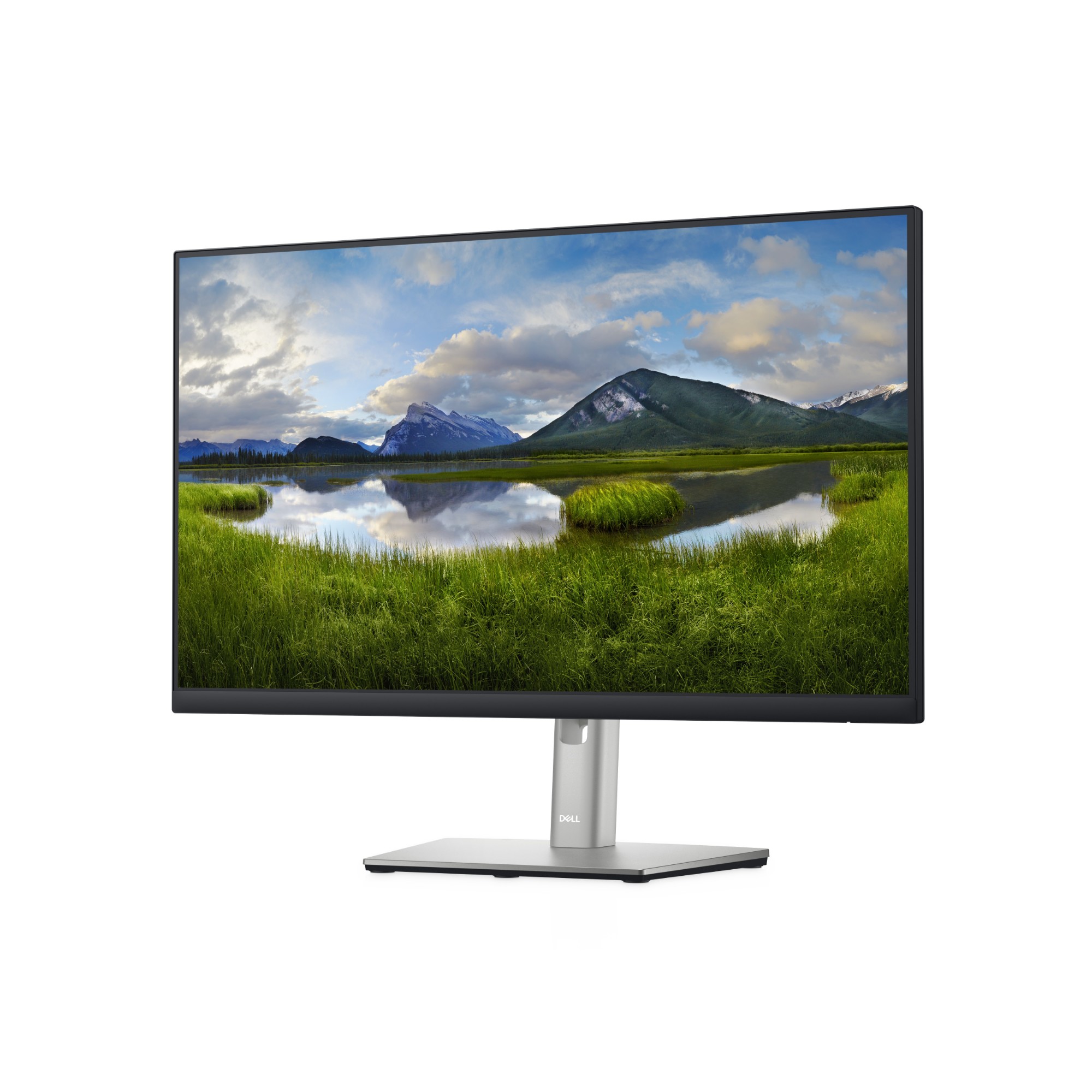 DELL-P2422H - DELL