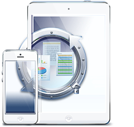 AALBR6ENS11 - ACRONIS