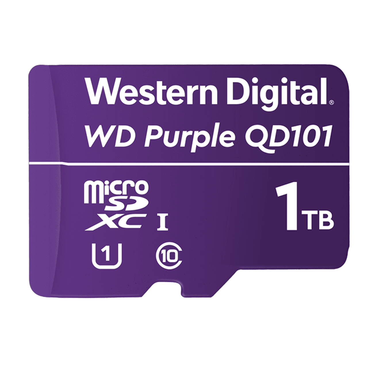 WDD100T1P0C - Western Digital