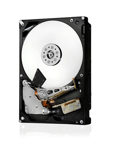 1EX0118 - WESTERN DIGITAL TECHNOLOGIES I