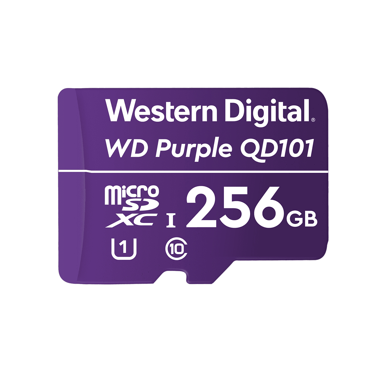 WDD256G1P0C - Western Digital