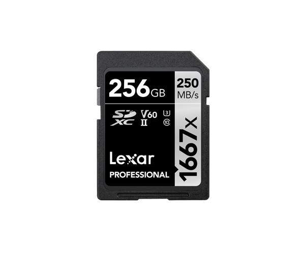 LSD256CBNA1667 - Lexar