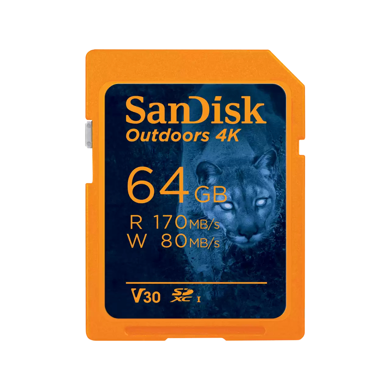 SDSDXW2-064G-GN6VN - Sandisk