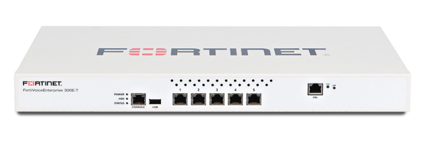 FVE-300E-T - Fortinet