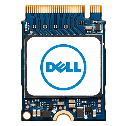 SNP112233P/1TB - DELL