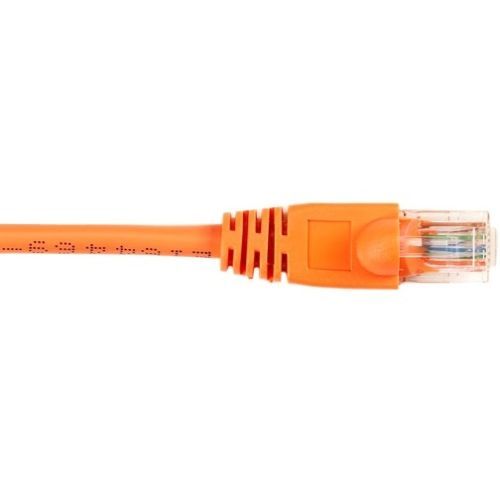 CAT6PC-006-OR - Black Box