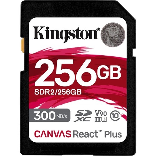 SDR2/256GB - Kingston 