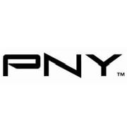 DH4100-Q33256 - PNY