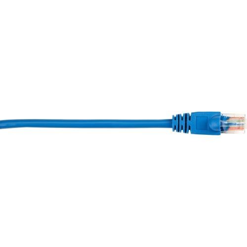 CAT5EPC-002-BL - Black Box