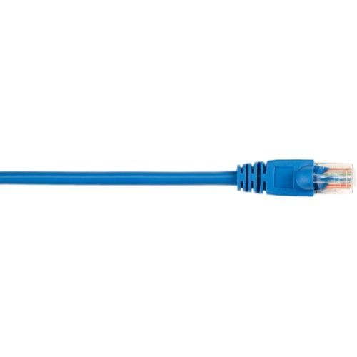 CAT5EPC-005-BL - Black Box