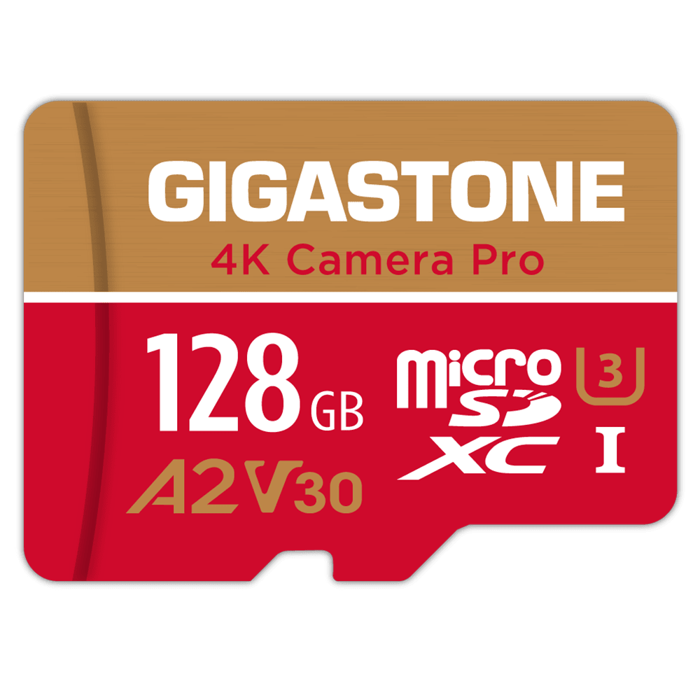 GS-2IN1-4KA2V30-128GB-R - Gigastone