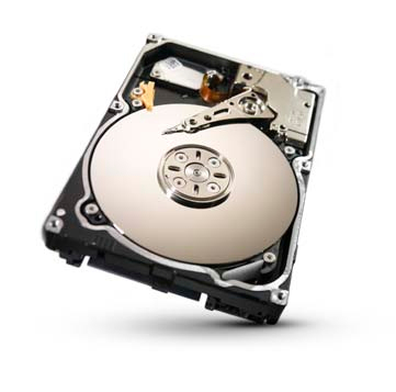 ST91000640SS - Seagate