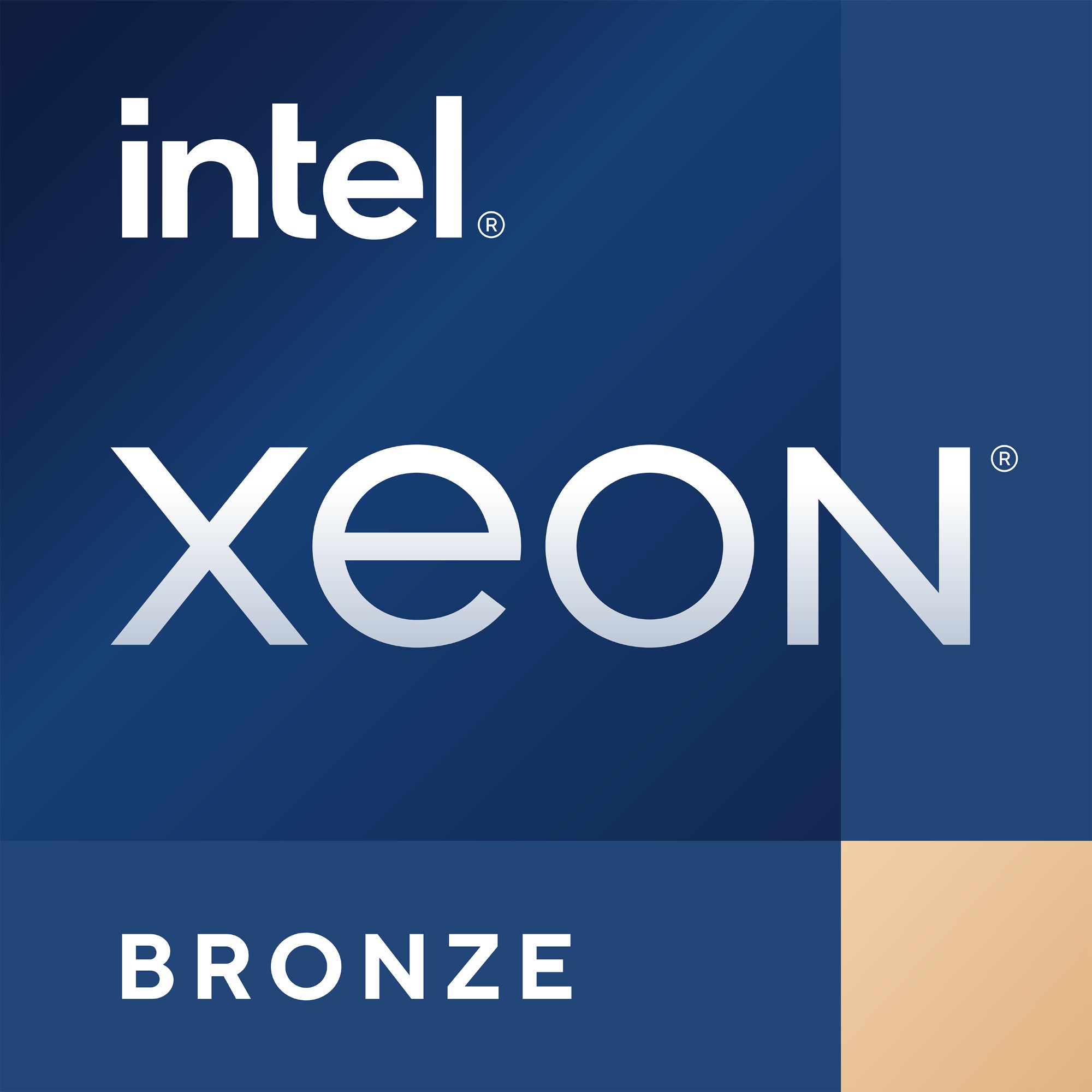 BX807133508U - Intel