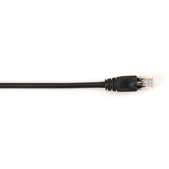 CAT5EPC-004-BK-25PAK - Black Box