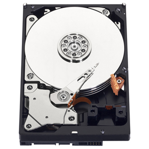 WD10EZRZ-20PK - Western Digital